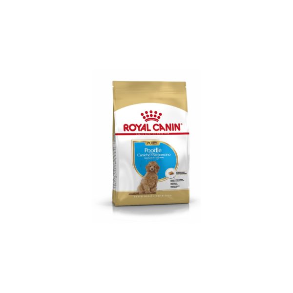 ROYAL CANIN BHN Poodle PUPPY