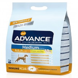 ADVANCE Medium Adult