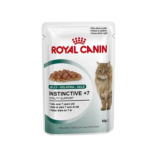 ROYAL CANIN Kitten 36