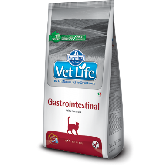 VET LIFE Gastrointestinal Cat 400 g