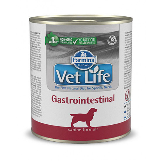 VET LIFE Gastro Instestinal 300 g