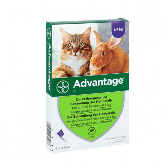 BAYER Advantage Cat 80