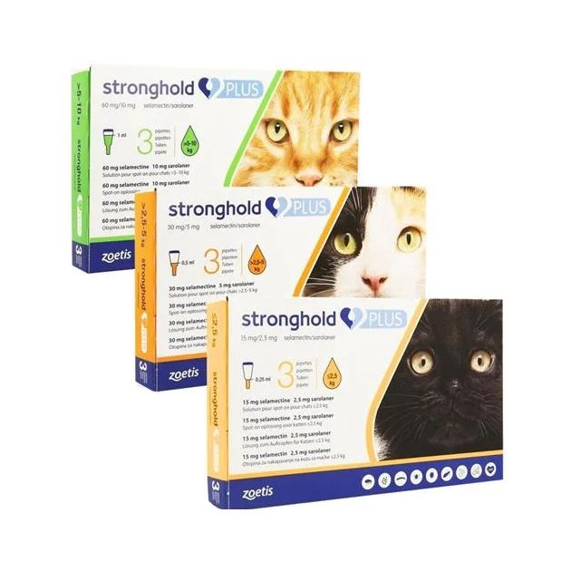 stronghold-plus