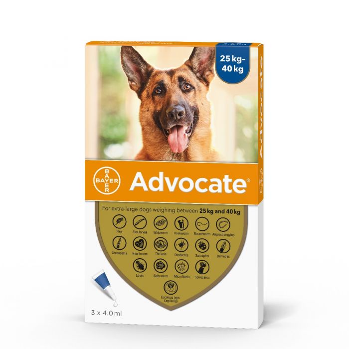 advocate-dog-25-40kg-1